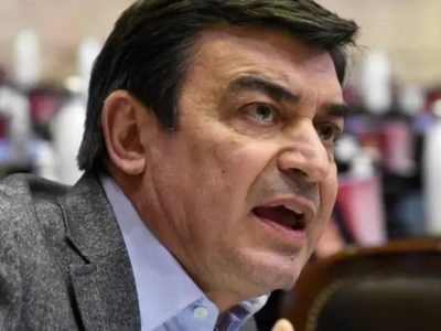 Omar De Marchi: “Neuquén tiene una personalidad fuertísima que no tiene que perder”