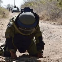 Encuentran 14 artefactos explosivos en brechas ejidales de Reynosa