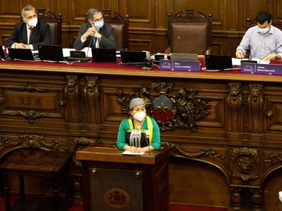 “Damos rienda suelta a la imaginación”: comenzarán a discutir los temas de la Constitución en Chile