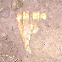 El temporal de lluvia en Andacollo hizo descubrir restos arqueológicos de una antigua civilización