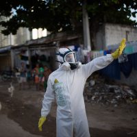 OMS coordinará acciones contra epidemia del zika