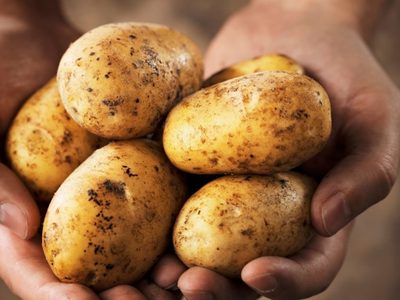Conservá las papas frescas y listas para freír hasta 6 días en la heladera con este trucazo