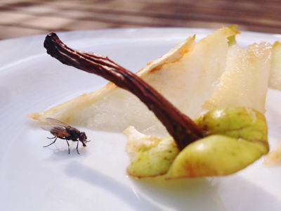 Decile chau a las moscas de tu cocina con este truco que vas a amar y compartir