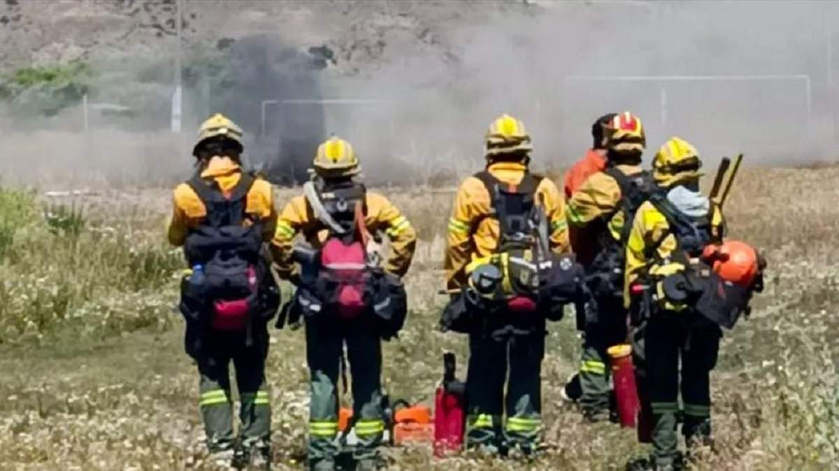 Brigadistas y bomberos combaten el fuego en forma permanente desde hace 9 días. Fuente: (Gobierno de Neuquén)