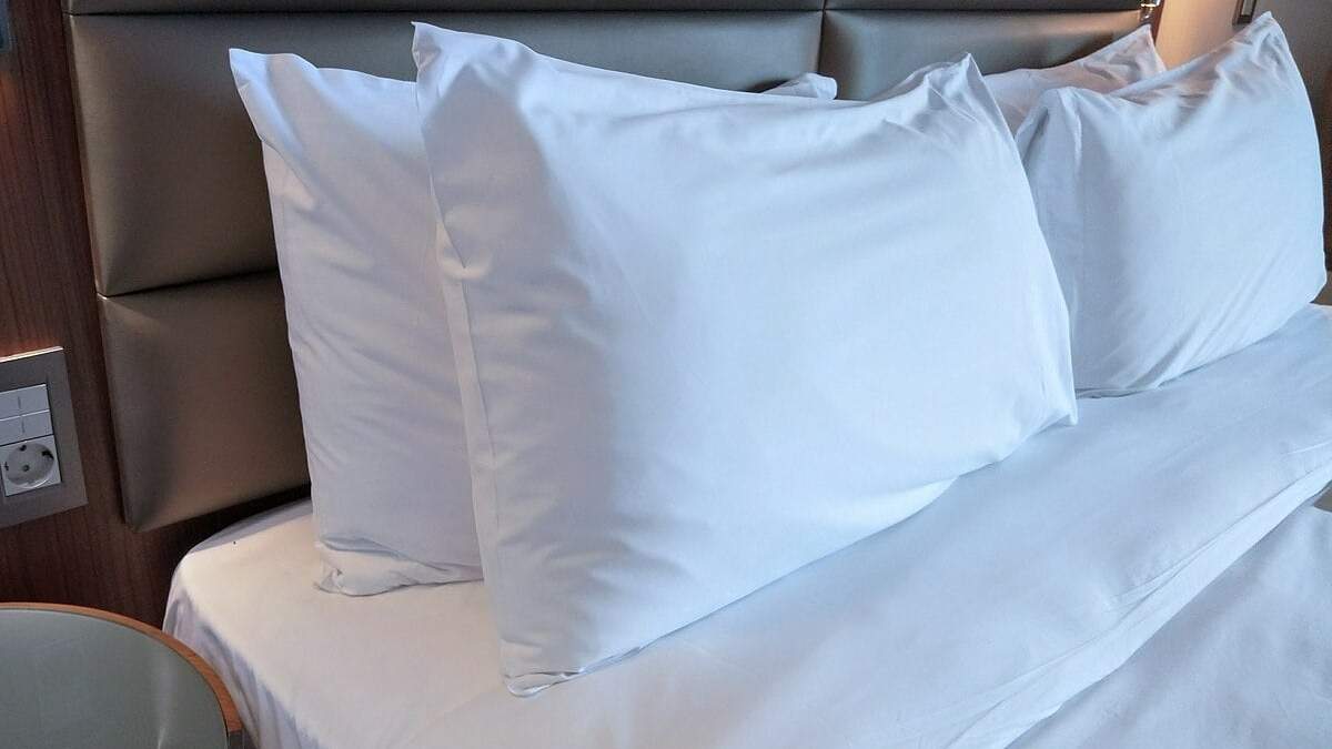 Respaldar de cama. Fuente:(X).