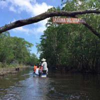 El INAI ordena difundir información sobre el impacto ambiental en Tabasco