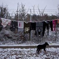 Grecia y Serbia, refugiados bajo la nieve