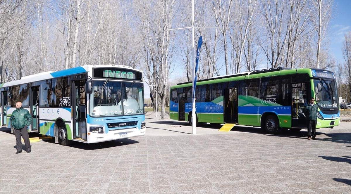 Nuevos coches del sistema de transporte público de Neuquén. Fuente (Twitter).