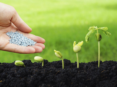 El fertilizante casero y práctico para que tus plantas estallen de flores y frutos en esta primavera