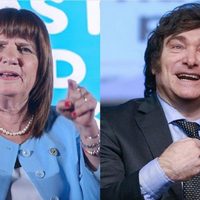Un sector de Juntos por el Cambio de Neuquén definió que apoyará a Javier Milei en el balotaje