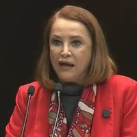 El “Plan B” será enviado al Senado: Laura Itzel Castillo