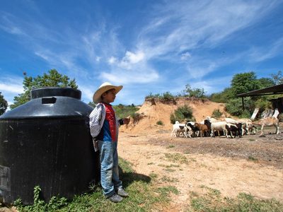 Batopilas de Manuel Gómez Morín, Mezquital y Del Nayar, con los peores índices de rezago social