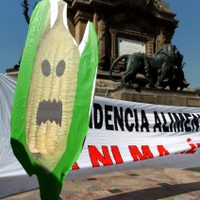 Decreto de Sader deja abierta la utilización de transgénicos y glifosato: Greenpeace