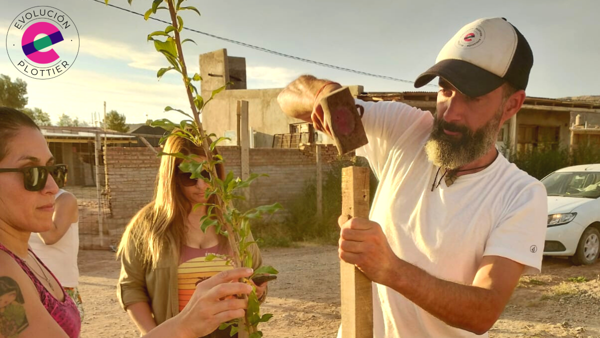 El concejal Ramos mensualmente realiza jornadas de plantación de árboles de vereda y frutales. Fuente: (Facebook)