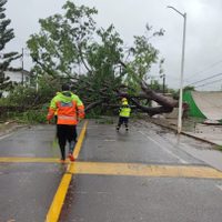 "Dolores" derriba árboles, inunda viviendas y tira cableado eléctrico en Colima