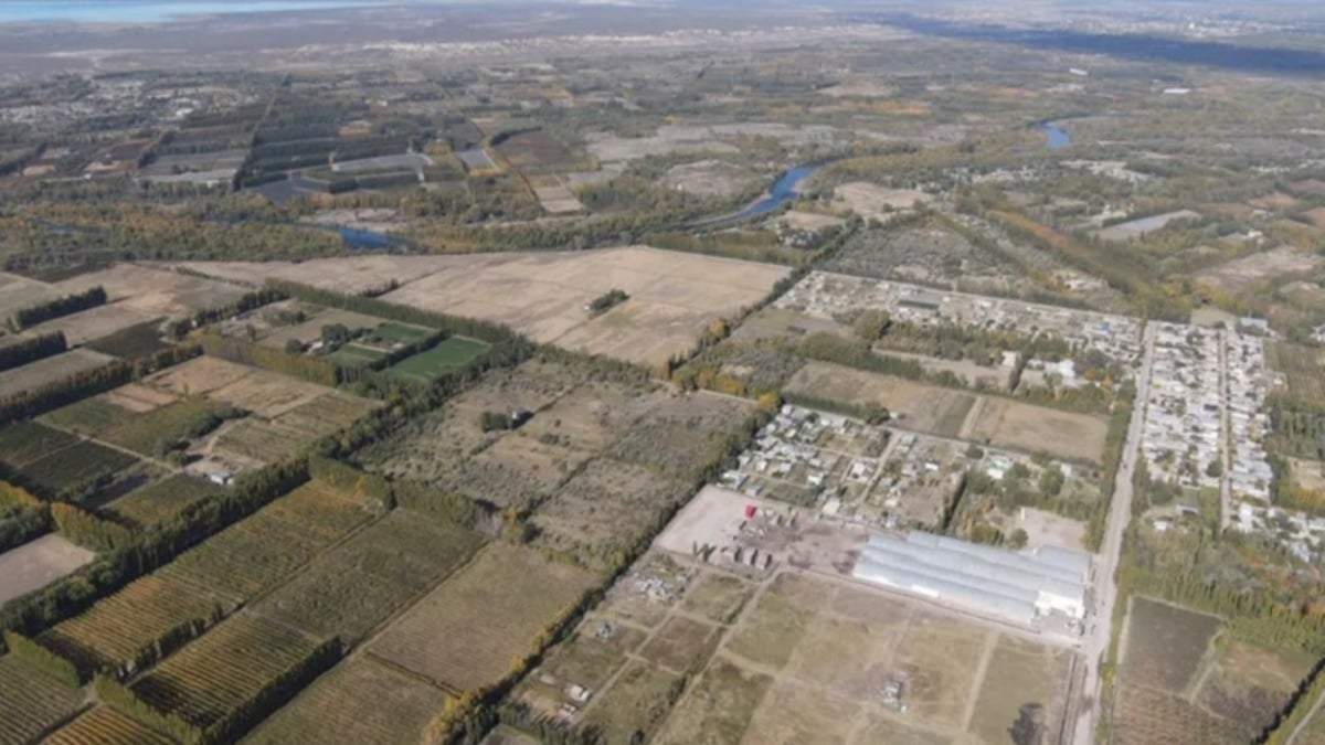 Quieren comprar la tierra en la que residen para seguir con la producción. Fuente: (Facebook)