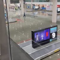 Suspenden operaciones en el AICM y activan alerta púrpura en Cuauhtémoc por lluvias fuertes (Video)