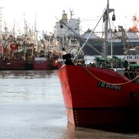 Tensión en Mar del Plata: paro de pesqueros y bloqueo de plantas