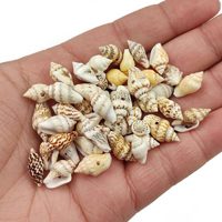 Guardate varios caracoles en la playa: así podés crear el marco de espejo más precioso y original