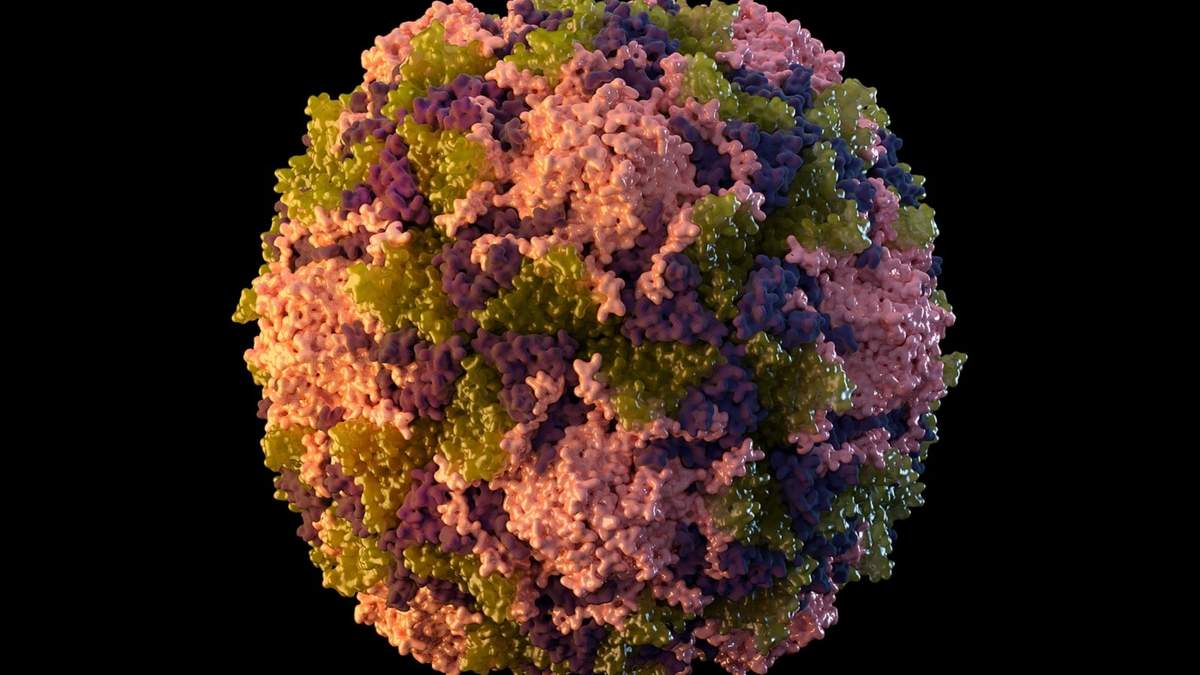 Ilustración que muestra una partícula del virus de la poliomielitis.