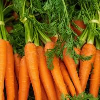 3 recetas con zanahoria para desayuno, almuerzo y cena que te resolverán las comidas de la semana