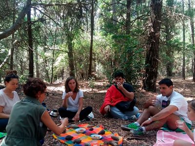 Baños de bosque, la técnica japonesa de relajación que llegó a Argentina