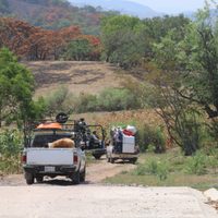 "Andamos como perros callejeros": desplazados de Tula, Guerrero, temen volver ante posibles ataques