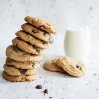 Galletas tipo Pepitos: recién horneadas para acompañar con el mate y muy fáciles de hacer