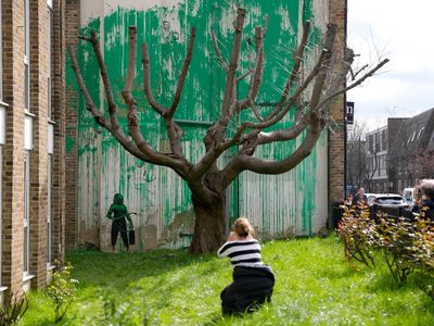 Banksy crea mural con árbol mutilado en Londres