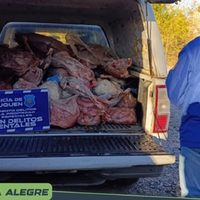 Descubrieron una carnicería ilegal en Vista Alegre: había carne en mal estado