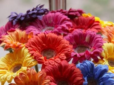 El sencillo y efectivo método para teñir tus flores del color que quieras y darle un toque distinguido a tu hogar