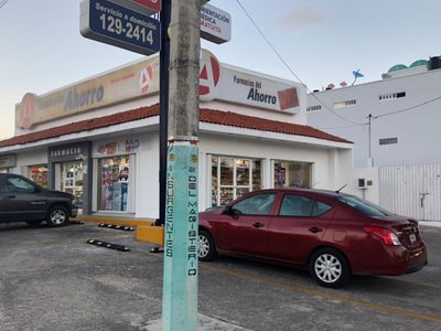 Denuncian a Farmacias del Ahorro por la tala ilegal de más de mil árboles