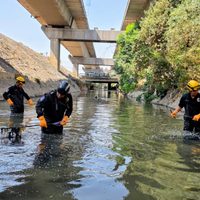 Jornada de búsqueda en Río de los Remedios y Cerro del Chiquihuite concluye sin hallazgos