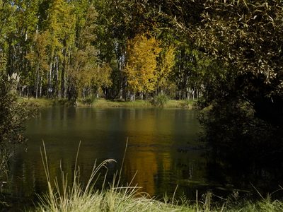 Clima en Neuquén: pronóstico con ascenso de temperatura e inestabilidad para este lunes