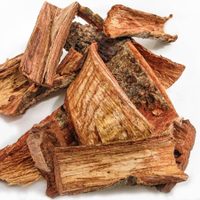 Esta es la planta medicinal mexicana que puede combatir el cáncer