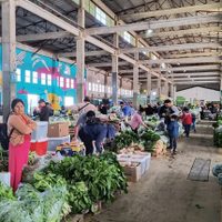 El Mercado Concentrador de Neuquén cambiará su horario