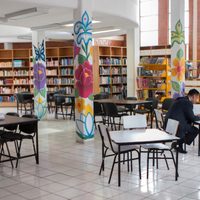 En el Día del Bibliotecario, lanzan 'Manifiesto de Bibliotecas Públicas”