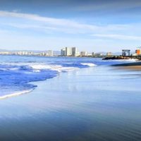 Cocodrilo ataca a estadunidense de 24 años en Nuevo Vallarta