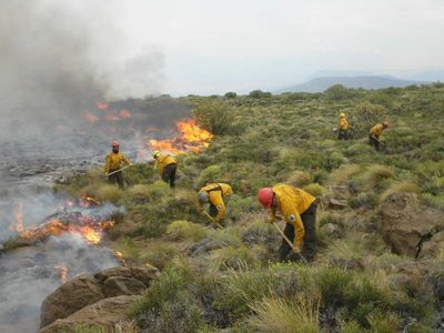 Ante los múltiples incendios, el gobierno de Neuquén buscará decretar la Emergencia Ígnea