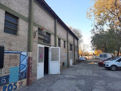 Suspenden clases en la Escuela 294 por la presencia de roedores