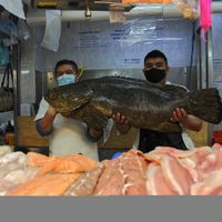 Primer semestre de 2021: Merman ventas del pequeño comercio y la canasta básica en plena alza