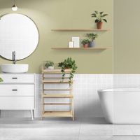 La planta que tenés que poner en el baño si querés mejorar tu economía y atraer la abundancia