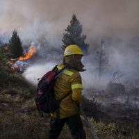 Incendio en Aluminé: las condiciones mejoraron y hoy se pudieron usar los medios aéreos