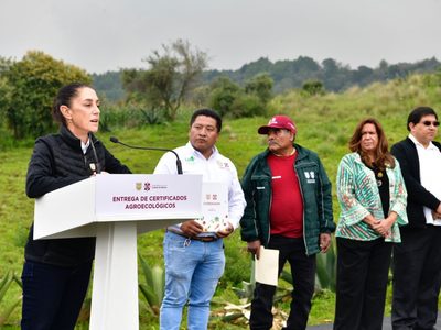 Sheinbaum enviará iniciativa de reforma constitucional en materia de agro
