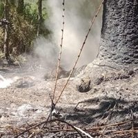 Extinguieron un incendio provocado por un rayo en el Parque Nacional Lanín