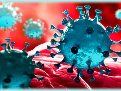 Atención Neuquén: se confirmaron 12 nuevos casos de coronavirus