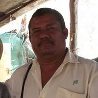 Asesinan a activista opositor a la minería y las altas tarifas de luz, en Oaxaca