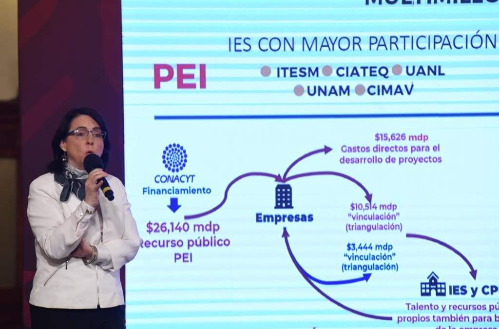 La directora general del Consejo Nacional de Ciencia y Tecnología