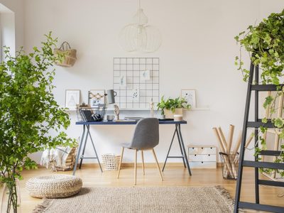 Con estos ingredientes podés preparar el sustrato más nutritivo para que tus plantas estén hermosas y sanas todo el año