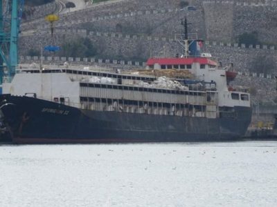 Casi 3.000 vacas uruguayas llevan dos meses en un buque sin poder desembarcar